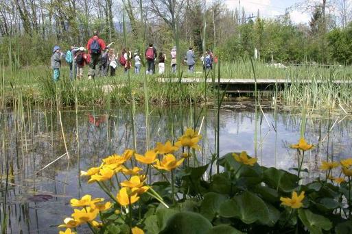 Au lac du Centre Pro Natura de Champ-Pittet